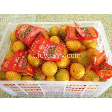 Best Price Nanfeng Baby Mandarin con buona qualità